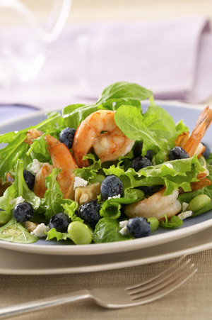 Blueberry Shrimp Salad with Lemon Vinaigrette