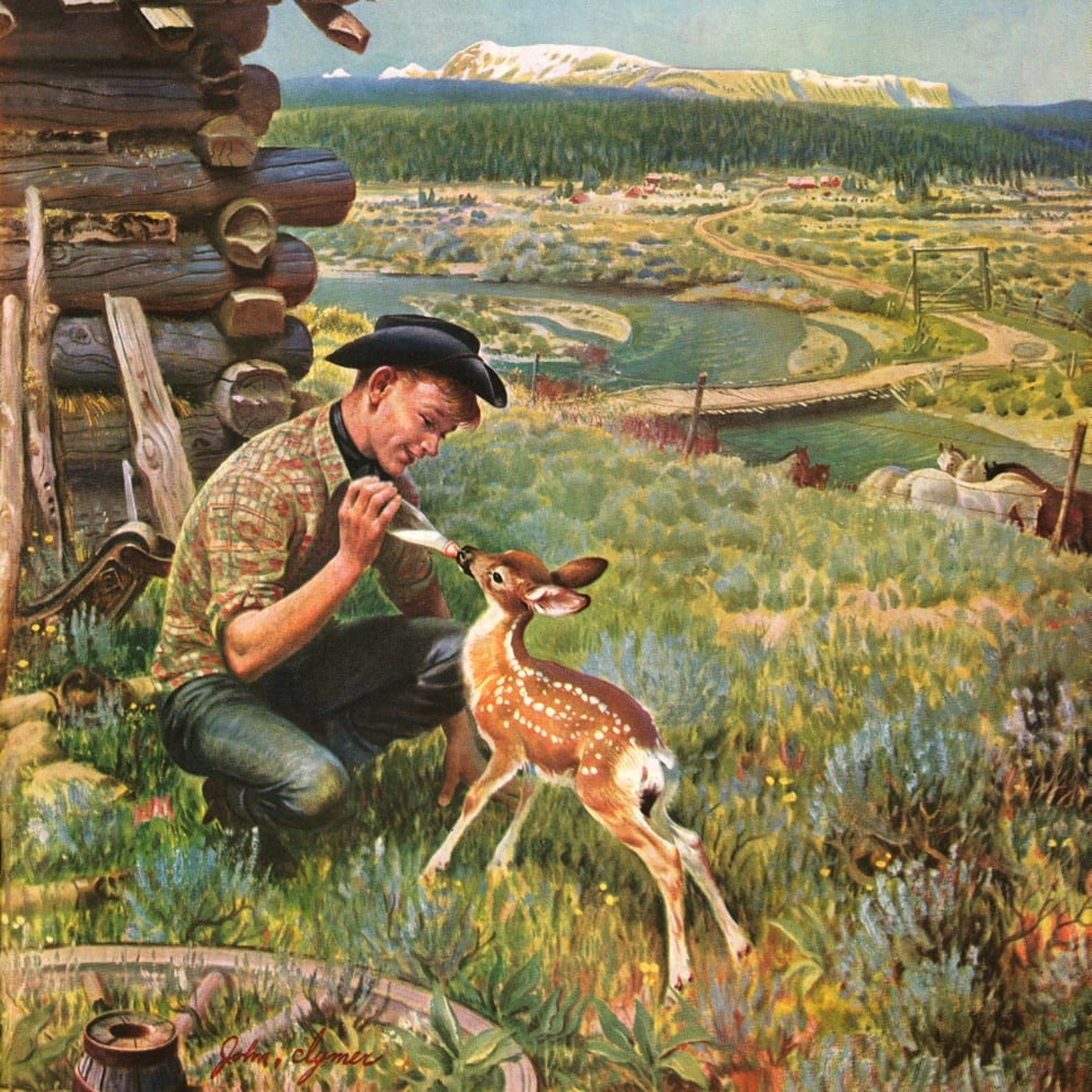 Artists The Saturday Evening Post