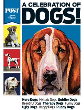 Cover for the Dogs special edition