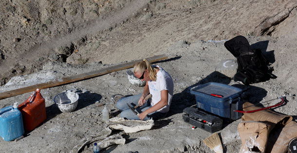 Woman cleaning dinosaur bone in fieldtional Monument (NPS photo)