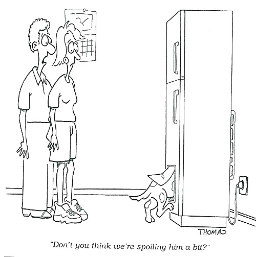 Dog in Fridge