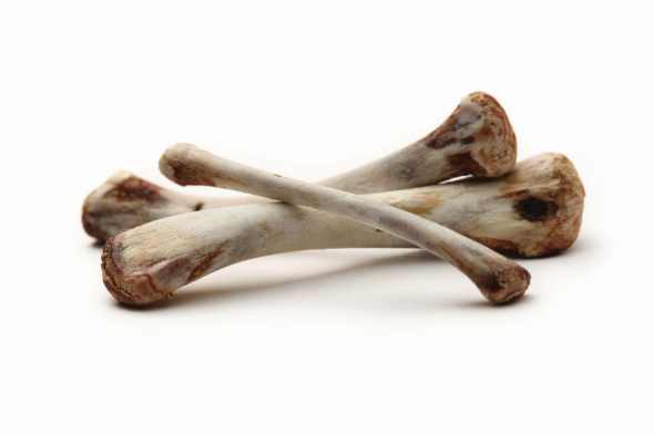 Dogs_bones
