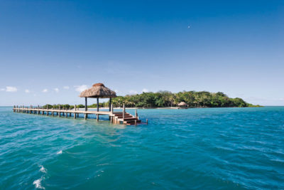 Dolphin Island, Fiji