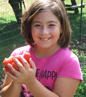 Ripe Roma Tomatoes from Forever-Fit Garden