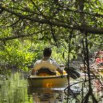 person kayaking on river