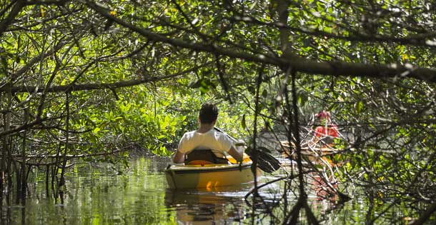 person kayaking on river