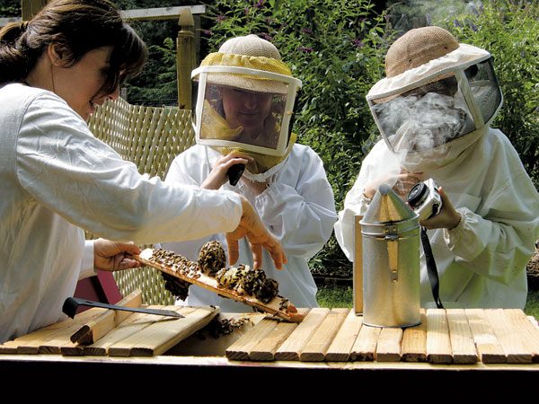 Honey 2 Honey