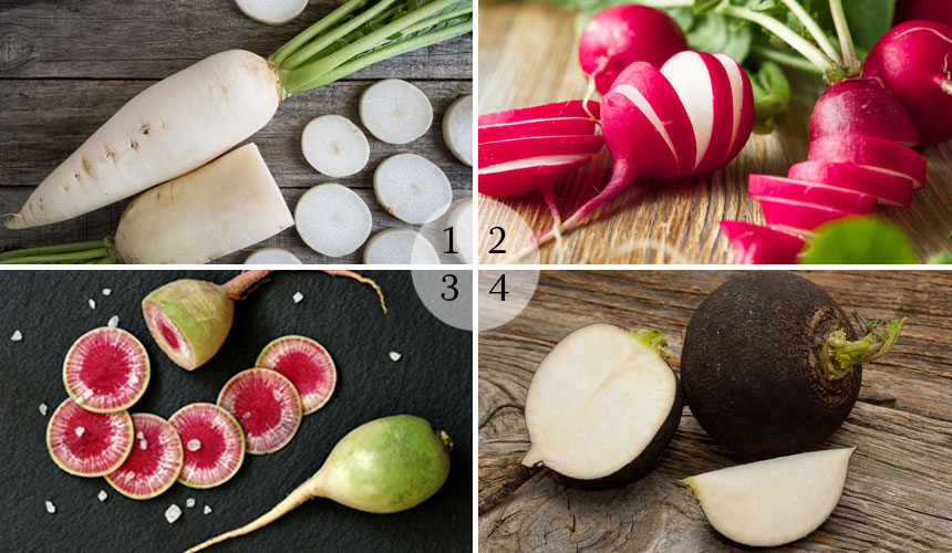 A photo collage of radishes: a daikon, cherry belle, watermelon radishes, and a black spanish radish.
