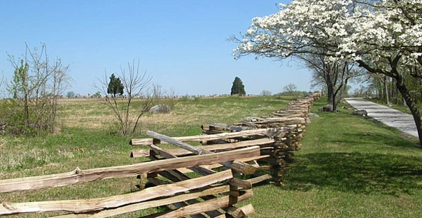 Field with wooden fence and blooming dogwood trees