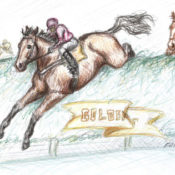 Sketch of a horse and jockey jumping over a hurdle in a race. Illustration by Karen Donley-Hayes