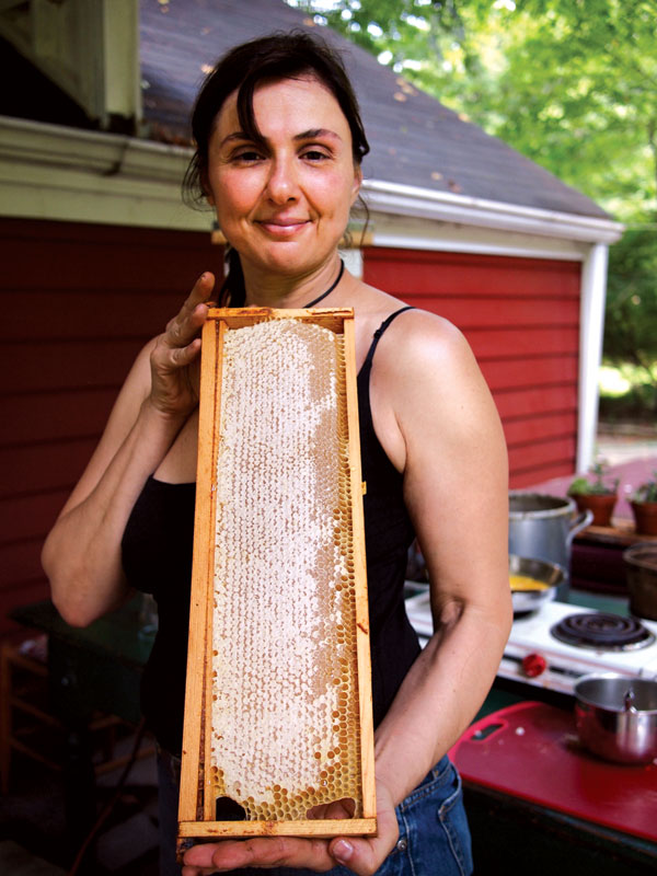 Honey Marina Marchese