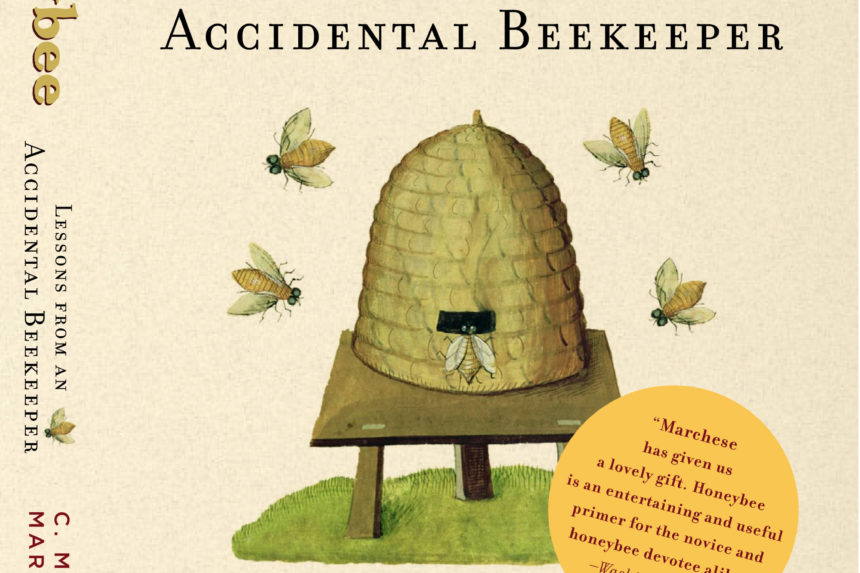 Lessons from an Aciddental Beekeeper
