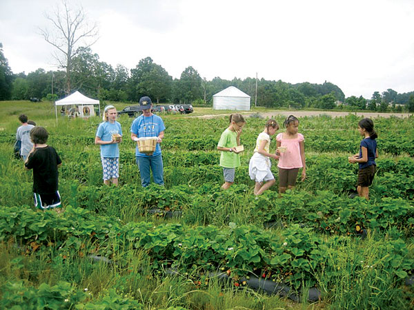 Photo Courtesy Whitted Bowers Farm.