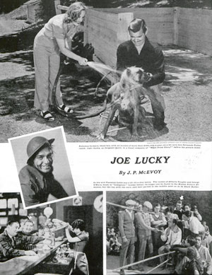 Joe Lucky