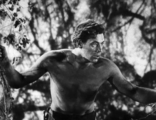 Johnny Weissmuller as Tarzan