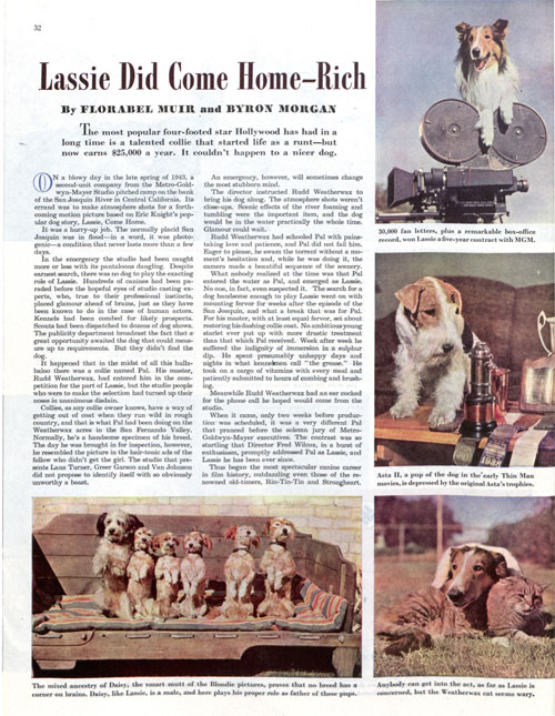 Lassie & My TV Career