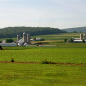 Farm in Limestone County, Pennsylvania. Source: Gerry Dincher