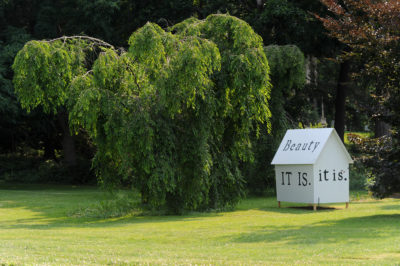 The homestead and the evergreens