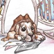 Sketch of a dog between two back-to-back rocking chairs. Illustration by Karen Donley-Hayes