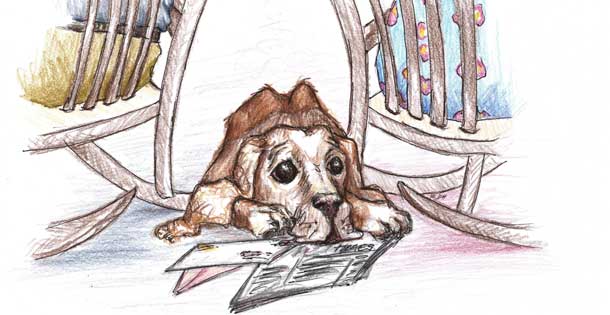 Sketch of a dog between two back-to-back rocking chairs. Illustration by Karen Donley-Hayes