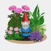 Tiny lawn gnome among flowers