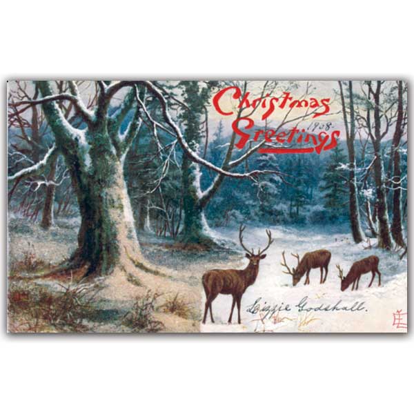 Christmas postcard of deer in snow-covered woods