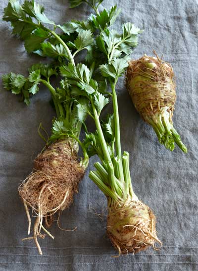Celery Roots, photo by Antonis Achilleos.