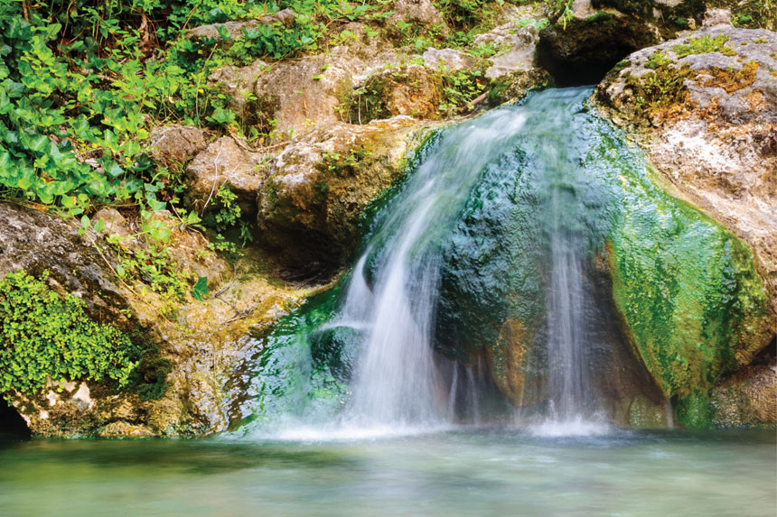 Tough Love at the Spa | The Saturday Evening Post - Vimarsana News