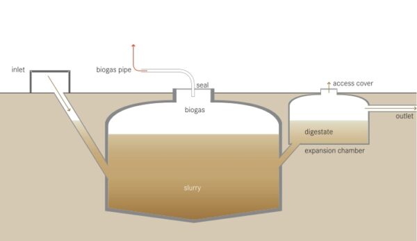 Our Better Nature: Turning Farts into Fuel – The Upside of Biogas | The ...