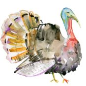 Illustration of a turkey