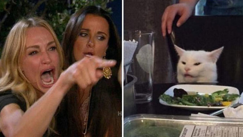 Meme of women yelling at annoyed cat