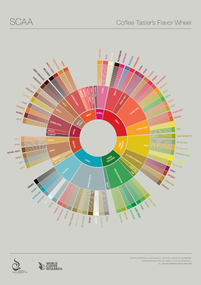 A chart showing the connection between descriptive words and coffee flavors.