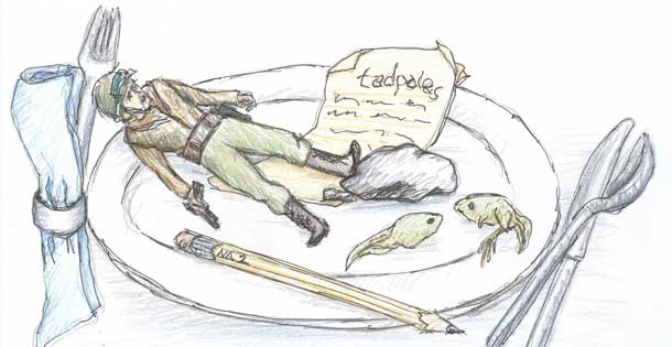 Illustration of a GI Joe figurine, a tadpole, a pencil, a rock, and a school report on a plate. Illustration by Karen Donley-Hayes