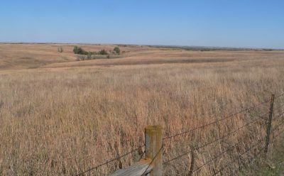 Willa Cather Prairie