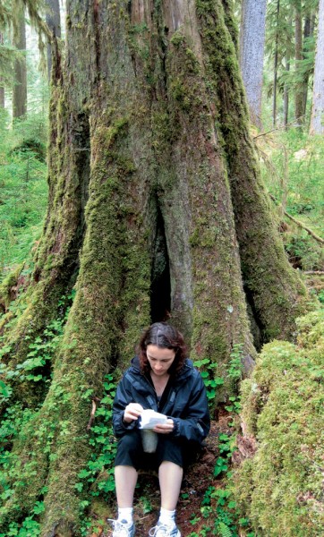 Olympic National Park