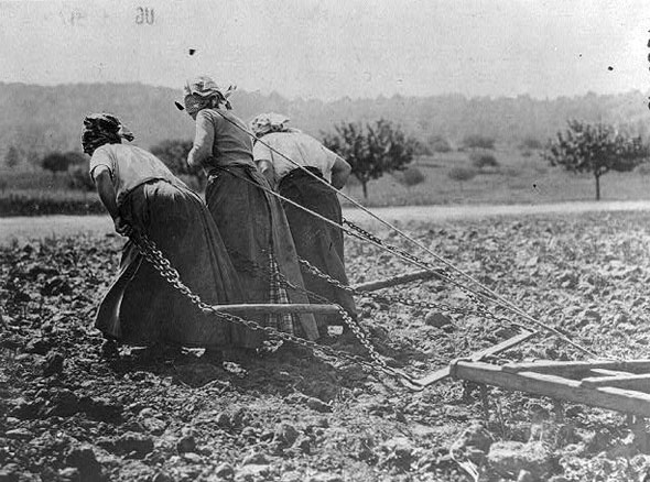 Even after the German army was pushed back out of their region of northern France, life was hard for the women who remained there. The Germans had taken all livestock in their retreat, forcing the women to personally replace their missing horsepower. (Library of Congress)