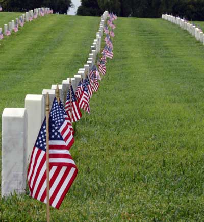 Arlington National Cemetary