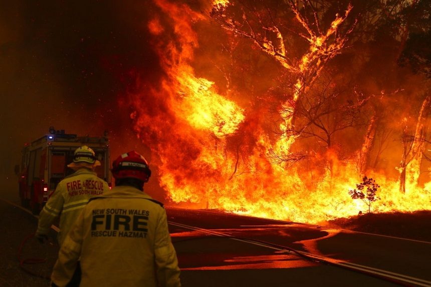 Firefighters attempt to combat the Australian wildfire.