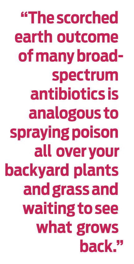 "The scorched earth outcome of many broad-spectrum antibiotics is analogous to spraying poison all over your backyard plants and grass and waiting to see what grows back."