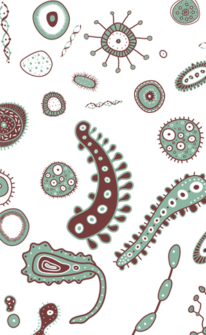 Bacteria Illustration