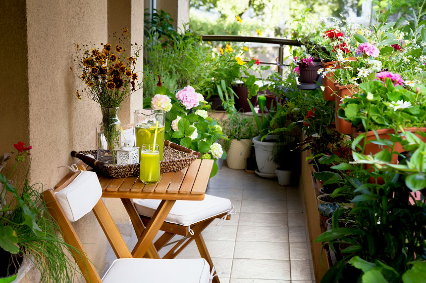 7 Tips to Turn Your Apartment Balcony into a Cozy Oasis The Saturday