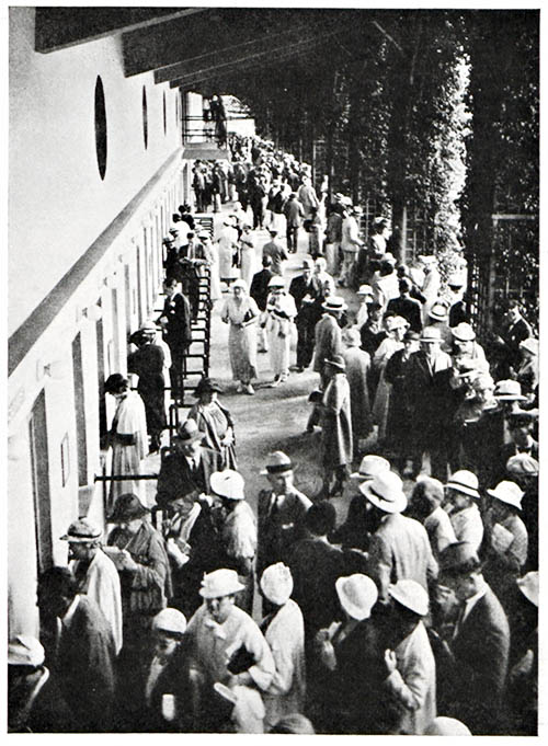 Betting Lines at the Pari-Mutuel Windows