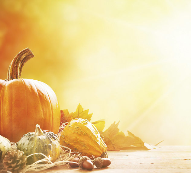 Pumpkins on a table