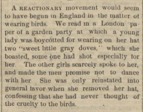 Newspaper clipping