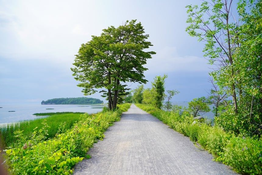 6 Rail Trails for Bicycling and Bird Watching