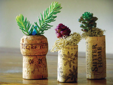 Cork Planters, Photo by Kylee Baumle and Jenny Peterson