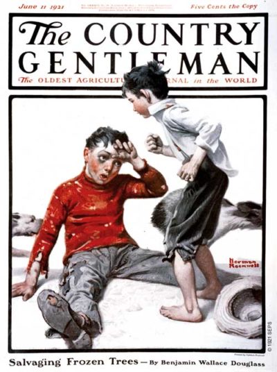 Take That! by Norman Rockwell