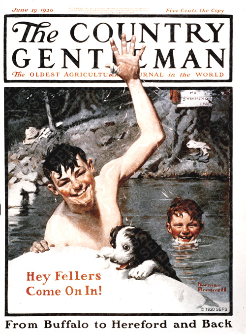 Two boys and a dog swim in a pond.