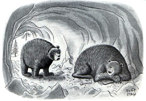 Cartoons: Bear with Us | The Saturday Evening Post