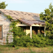 A run-down wooden home being reclaimed by the foliage around it.